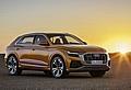 Audi Q8.  Foto: Auto-Medienportal.Net/Audi